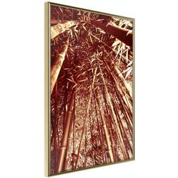 Arkiio Affisch Tall Bamboos [Poster] 40x60 Poster